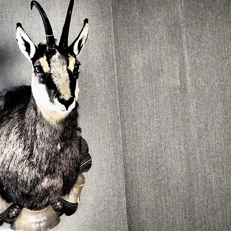 Wildeck & Restaurant Szálloda 4*