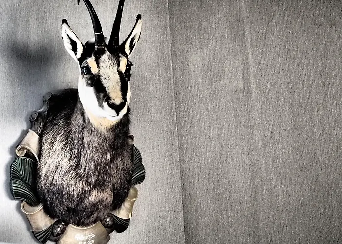 Wildeck & Restaurant Hotel 4*